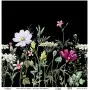 Model UC093 Universal Rice Paper Collection 30x32