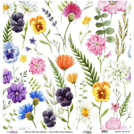 Model UC097 Universal Rice Paper Collection 60x62