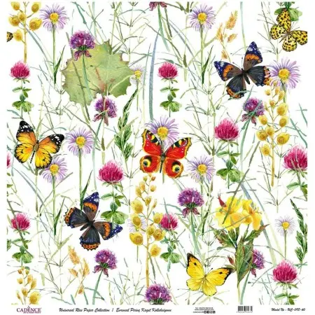 Model UC098 Universal Rice Paper Collection 30x32