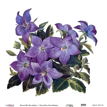 Model UC111 Universal Rice Paper Collection 60x62