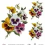 Model UC113 Universal Rice Paper Collection 30x32