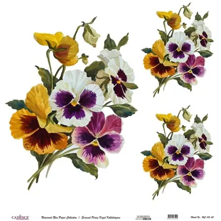 Model UC113 Universal Rice Paper Collection 60x62