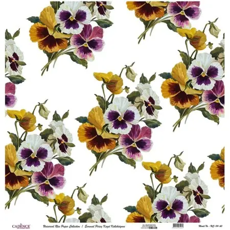 Model UC114 Universal Rice Paper Collection 30x32