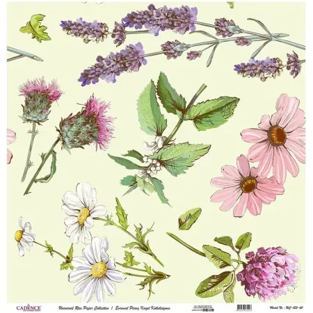 Model UC123 Universal Rice Paper Collection 30x32