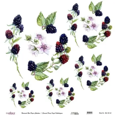 Model UC134 Universal Rice Paper Collection 60x62