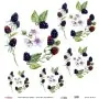 Model UC134 Universal Rice Paper Collection 60x62