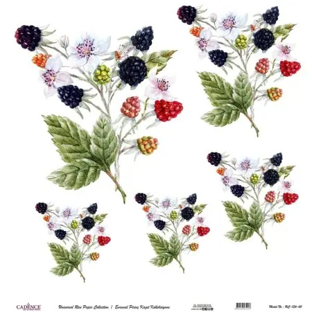 Model UC136 Universal Rice Paper Collection 30x32