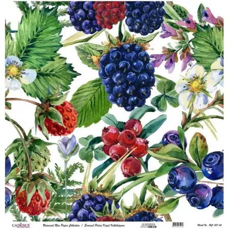 Model UC137 Universal Rice Paper Collection 30x32