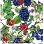 Model UC137 Universal Rice Paper Collection 30x32