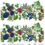 Model UC138 Universal Rice Paper Collection 30x32