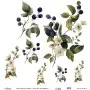 Model UC139 Universal Rice Paper Collection 90x92