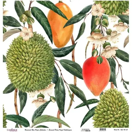 Model UC146 Universal Rice Paper Collection 30x32