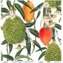 Model UC146 Universal Rice Paper Collection 90x92