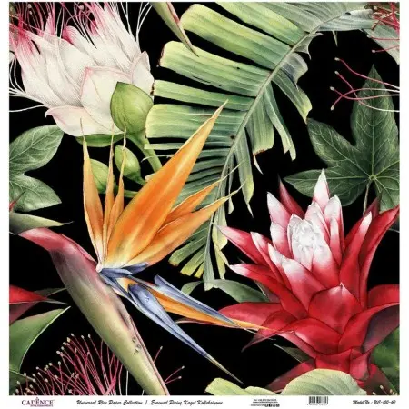 Model UC150 Universal Rice Paper Collection 60x62