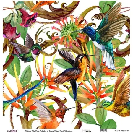 Model UC153 Universal Rice Paper Collection 30x32