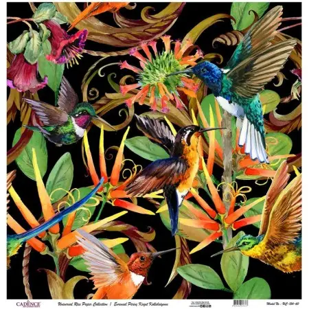 Model UC154 Universal Rice Paper Collection 30x32