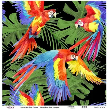 Model UC157 Universal Rice Paper Collection 30x32