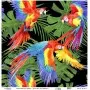 Model UC157 Universal Rice Paper Collection 30x32