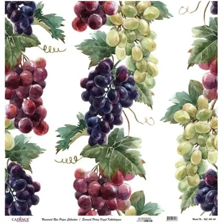 Model UC164 Universal Rice Paper Collection 60x62
