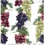 Model UC164 Universal Rice Paper Collection 60x62