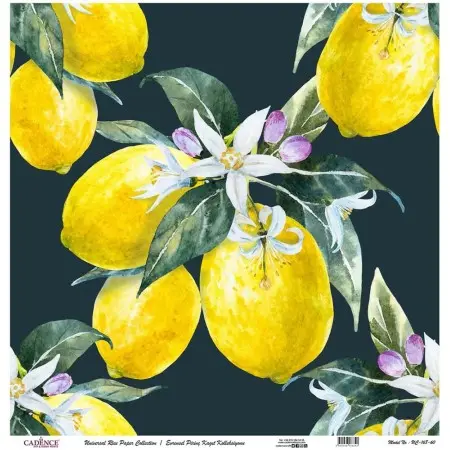 Model UC168 Universal Rice Paper Collection 30x32