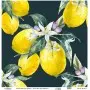 Model UC168 Universal Rice Paper Collection 30x32