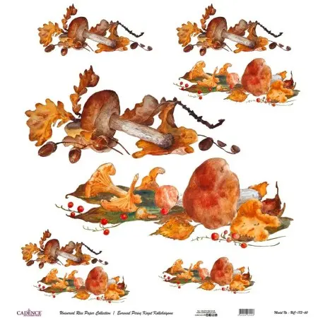 Model UC173 Universal Rice Paper Collection 90x92