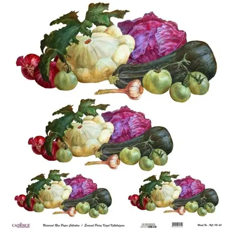 Model UC175 Universal Rice Paper Collection 30x32