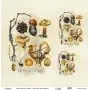 Model UC176 Universal Rice Paper Collection 30x32