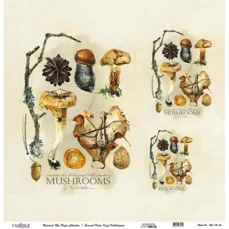 Model UC176 Universal Rice Paper Collection 60x62