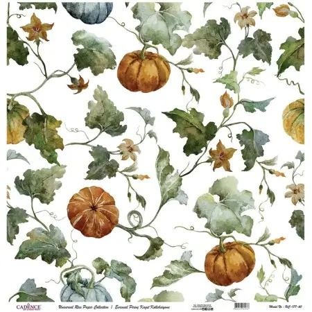 Model UC177 Universal Rice Paper Collection 30x32