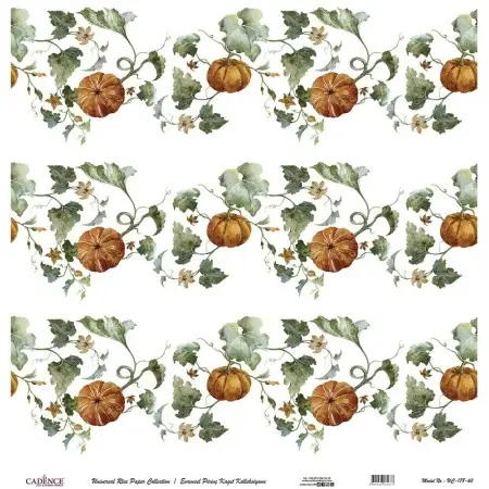 Model UC178 Universal Rice Paper Collection 30x32