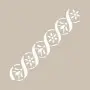 K28 6x20 Border Model Stencil