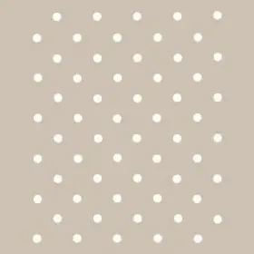 Puantiye Model AS433 A4 Stencil