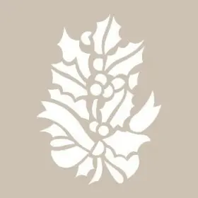 Yılbaşı Çiçeği Model D08 15x20 D Serisi Stencil