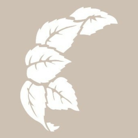 Leaf Model D80 15x20 D Series Stencil