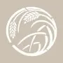 Virgo Model D275 15x20 D Series Stencil