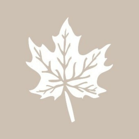 Leaf Model D280 15x20 D Series Stencil