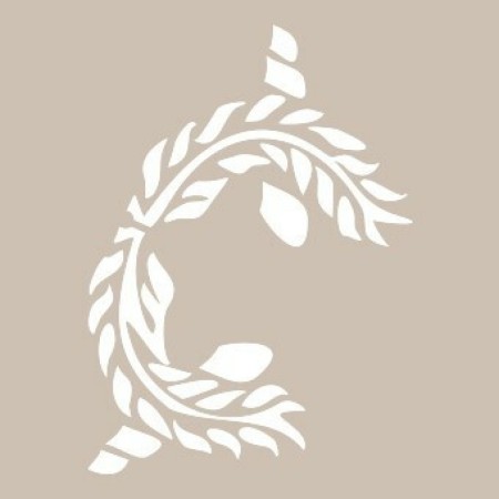 Virgo Model D330 15x20 D Series Stencil