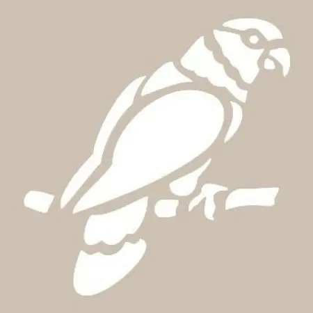 Bird Model D363 15x20 D Series Stencil