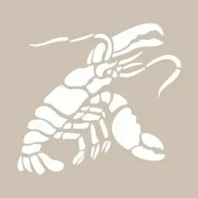 Istakoz Model D383 15x20 D Serisi Stencil