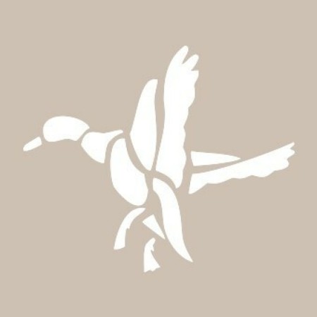 Duck Model D400 15x20 D Series Stencil