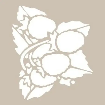 Christmas Flower Model D648 15x20 D Series Stencil