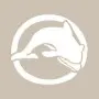 Dolphin Model D748 15x20 D Series Stencil