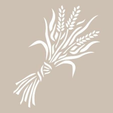 Virgo Model D901 15x20 D Series Stencil