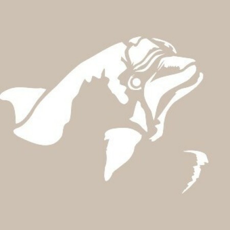 Dolphin Model D954 15x20 D Series Stencil