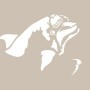 Dolphin Model D954 15x20 D Series Stencil