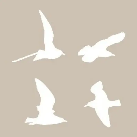 Bird Model D1004 15x20 D Series Stencil