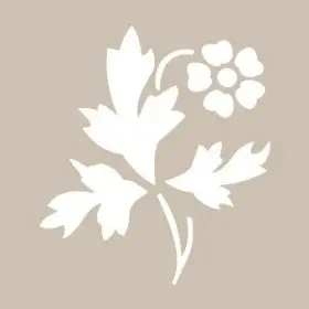 Çiçek Model D1091 15x20 D Serisi Stencil