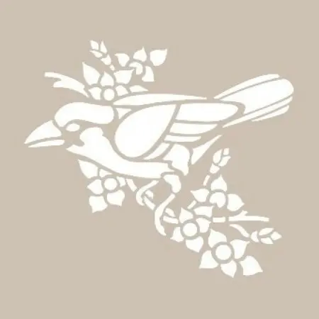 Bird Model D1107 15x20 D Series Stencil